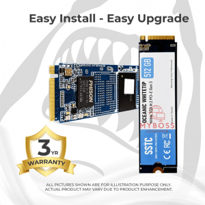 SSD SSTC Oceanic Whitetip E13 512GB M.2 NVMe PCI-e Gen 3x4